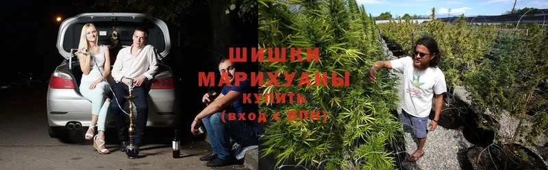 blacksprut маркетплейс  Чита  Марихуана тримм 